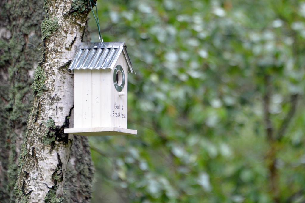 Apartament Karkse Pervalka Zewnętrze zdjęcie